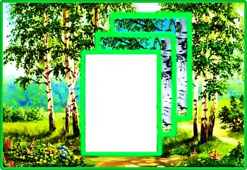 ကဏ္ဍမှ ဓာတ်ပုံအထူးပြုလုပ်ချက် နွေဦးရာသီ № 113016