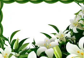 ကဏ္ဍမှ ဓာတ်ပုံအထူးပြုလုပ်ချက် နွေဦးရာသီ № 113129