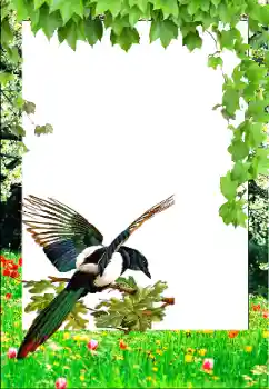 ကဏ္ဍမှ ဓာတ်ပုံအထူးပြုလုပ်ချက် နွေဦးရာသီ № 147761